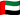 United Arab Emirates flag