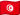 Tunisia flag