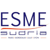 Special School of Mechanics & Electricity ESME Sudria Logo