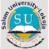 Salem International University Logo