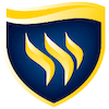 Texas Wesleyan University Logo
