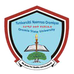 Oromia State University Logo