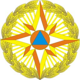 Academy of the Ministry of Emergency Situations Logo