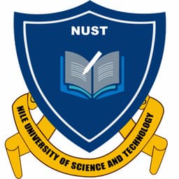 Nile University of Science & Technology Logo