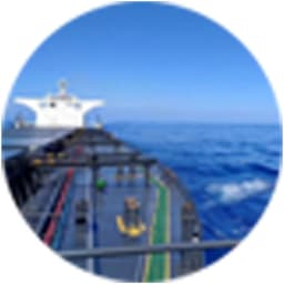 Wuhan Maritime Vocational & Technical College Logo