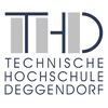 Deggendorf Technical University Logo