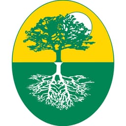 Regenesys Business School Logo