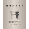 Tibiscus University Timisoara Logo