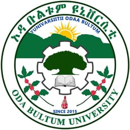 Oda Bultum University Logo